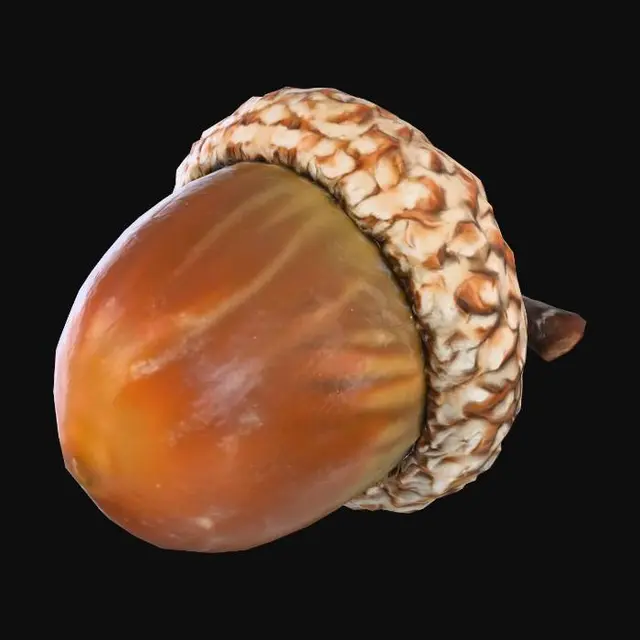 3D model for Acorn, #Thanksgiving#