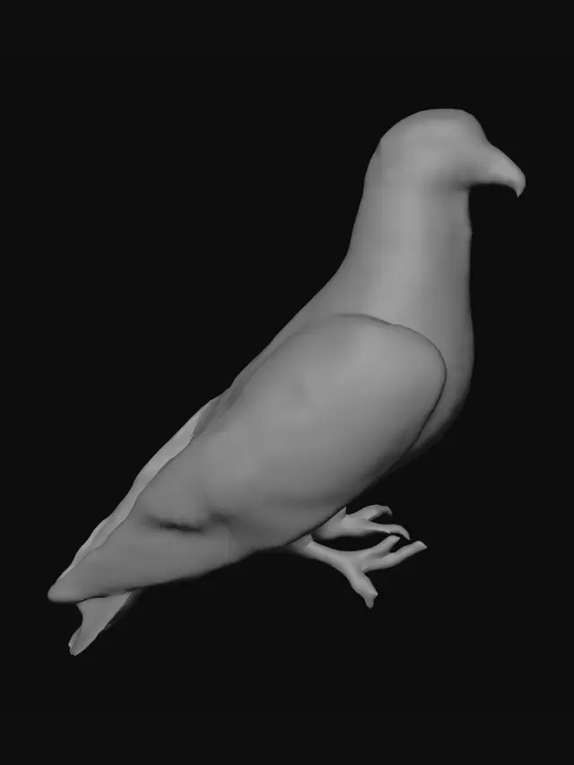 3D model for Iridescent Rock Dove