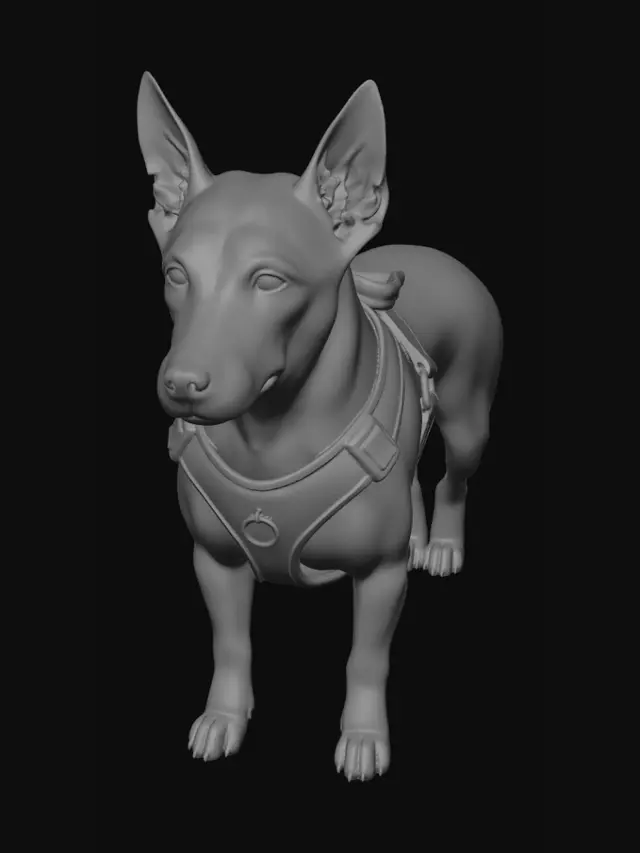 3D model for Palms and Paws