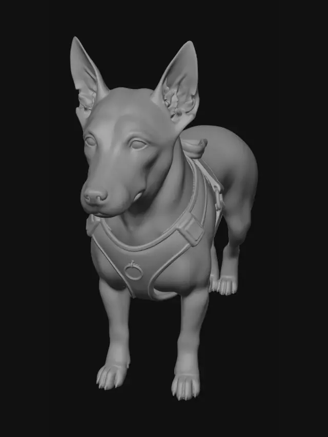 3D model for Palms and Paws