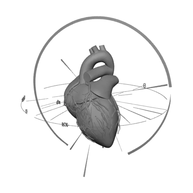 3D model for 12-Lead ECG Diagram