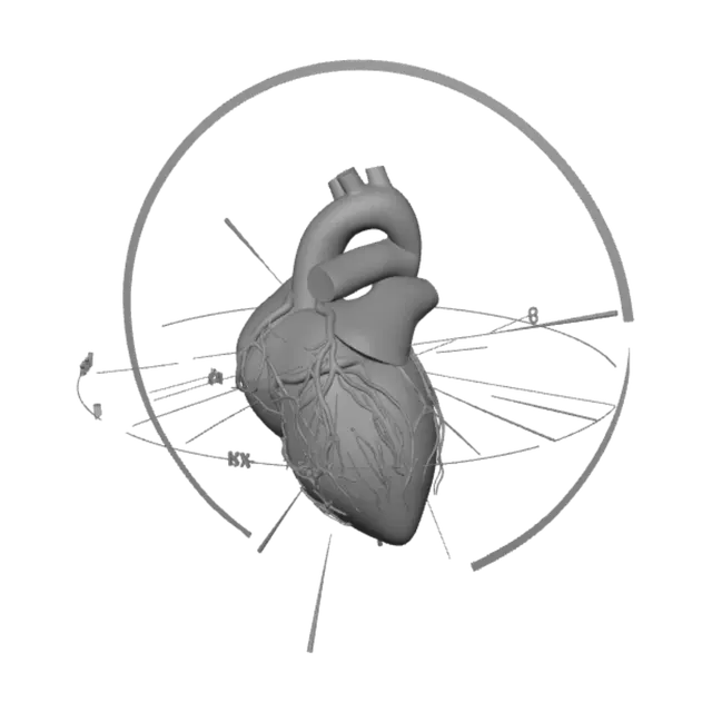 3D model for 12-Lead ECG Diagram