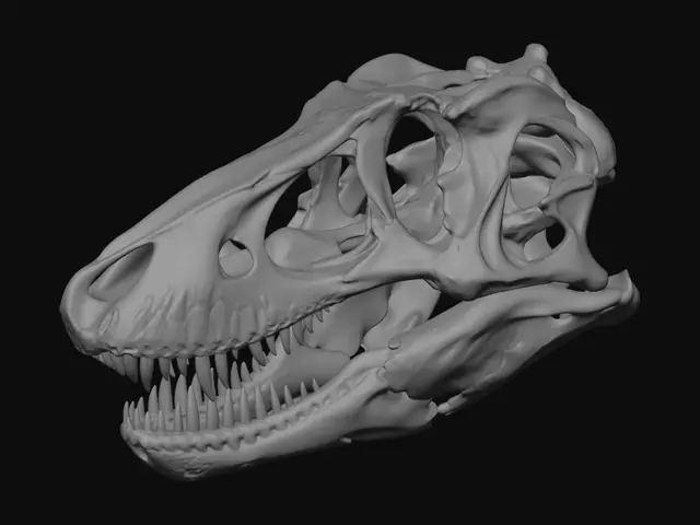3D model for Dinosaur Skull