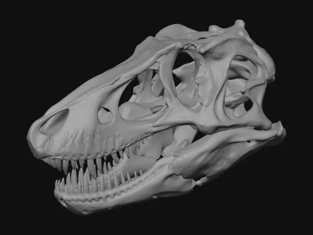 3D model for Dinosaur Skull