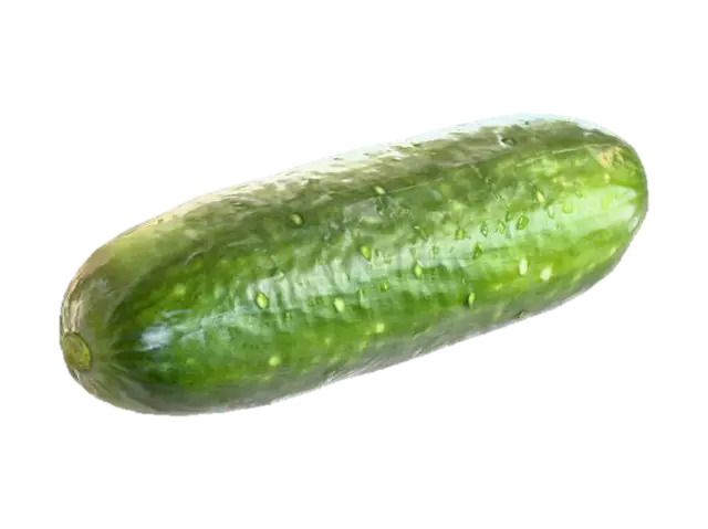3D model for cucumber