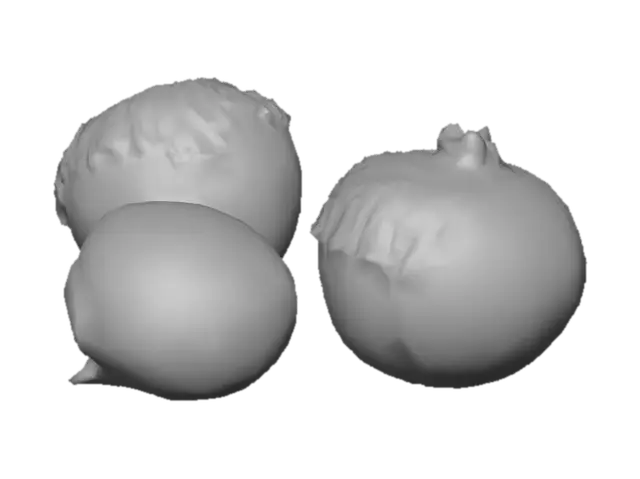 3D model for three chestnuts. one still in its case