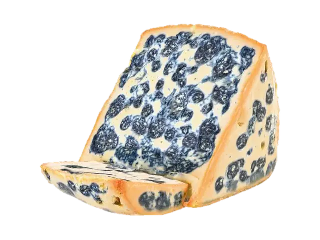 blue cheese - Culinary 3D model, vytvořený pomocí AI