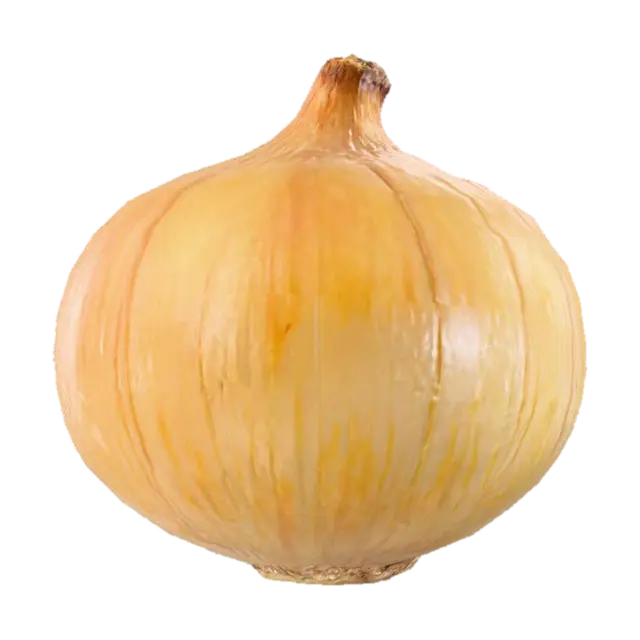 A classic yellow onion, presenting a globe-like, slightly flattened spherical… - Vegetable 3D model, vytvořený pomocí AI