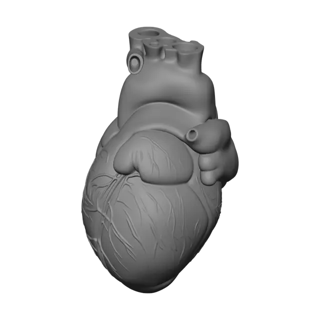 3D model for Low-Poly Realistic Heart