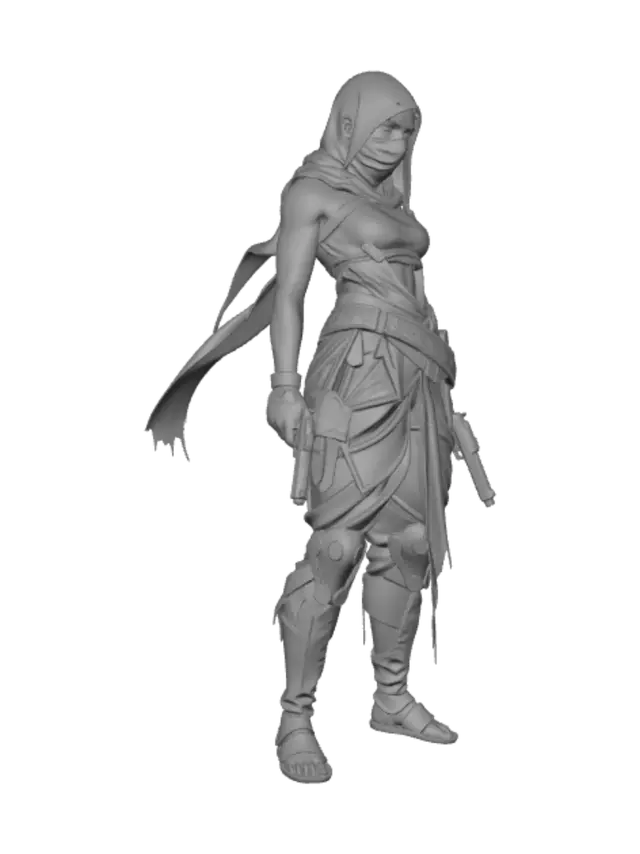 3D model for Veiled Assassin