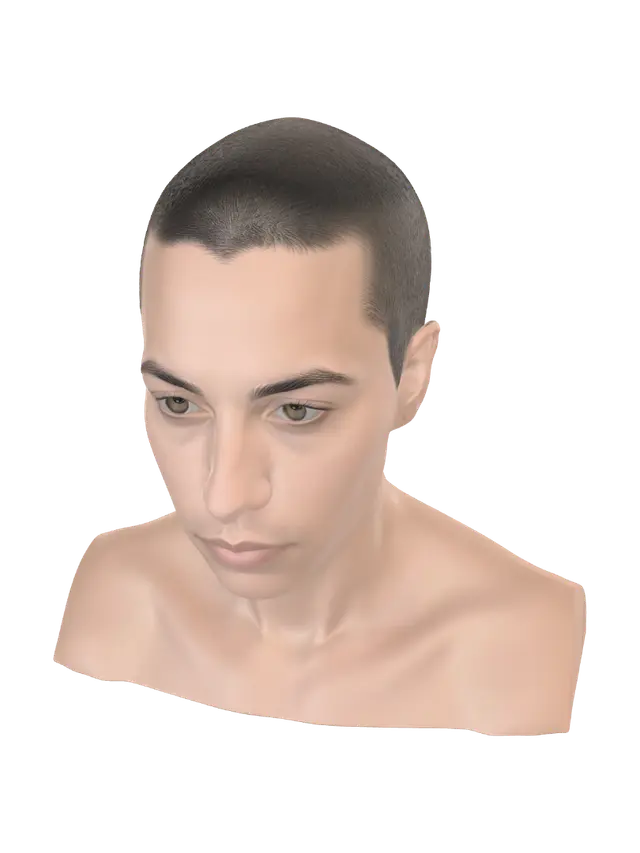 Modello 3D Bust 5 - Resolve, generato dall’IA