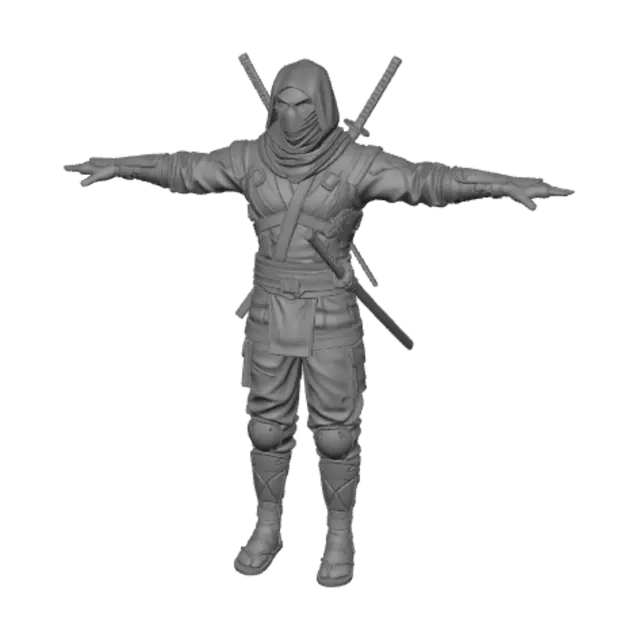 3D model for Crimson Shadow Assassin