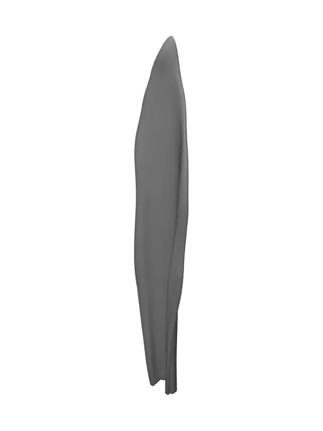 3D model for Lone Snake Plant Leaf