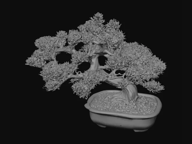 3D model for 松の盆栽
