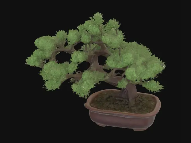 3D model for 松の盆栽