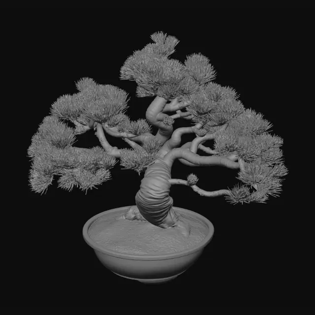 3D model for 松の盆栽