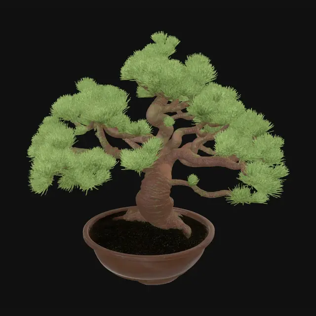 3D model for 松の盆栽
