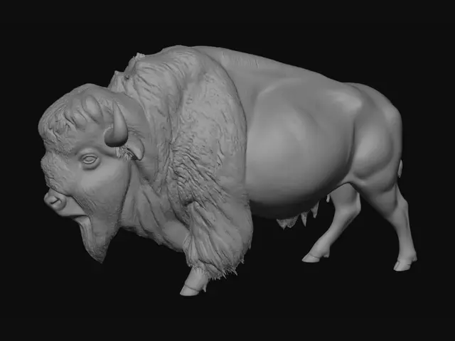 3D model for Create an American Bison