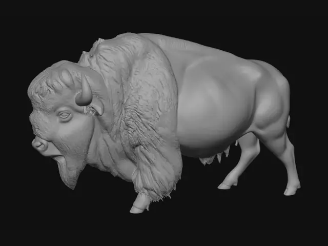 3D model for Create an American Bison