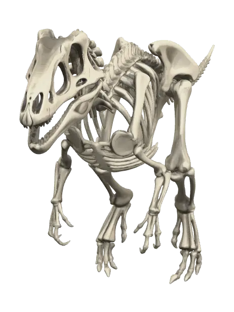 Realistic Velociraptor Skeleton - Articulated 3D model, vytvořený pomocí AI