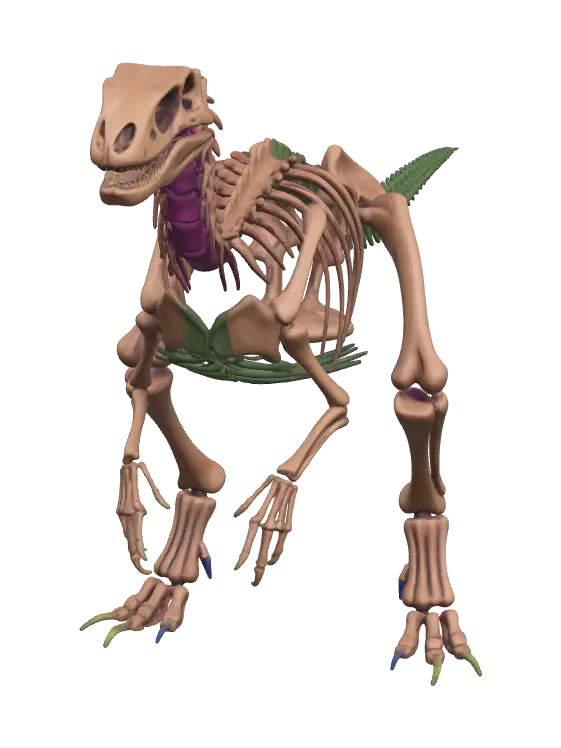 Low-Poly Velociraptor Skeleton - Rex 3D model, vytvořený pomocí AI
