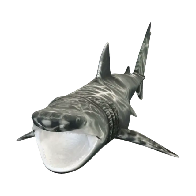 3D model for Shark in the Blue Depths