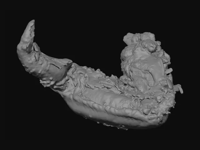 3D model for Golden Fried Chicken