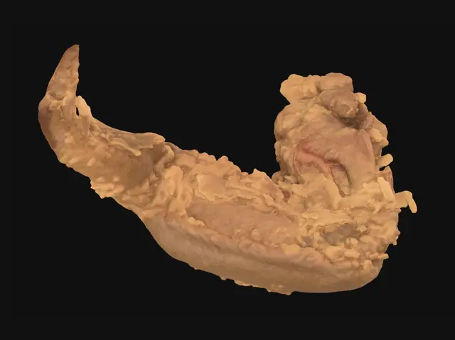 3D model for Golden Fried Chicken