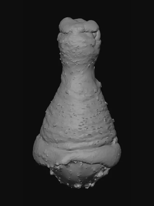 3D model for Crispy Herb Fried Chicken Drumstick