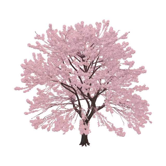 3D model for Cherry Blossom by the Lake