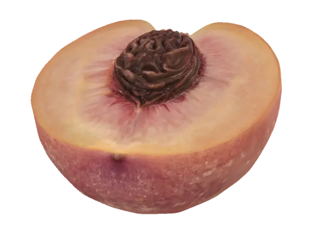 Peach Half 3D model, vytvořený pomocí AI