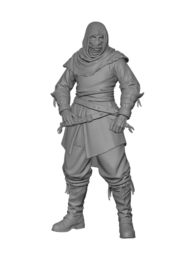 3D model for Crimson Hooded Assassin