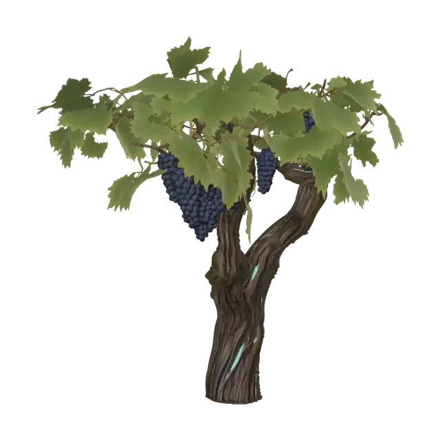 3D model for Gnarled Grape Vine at Sunset