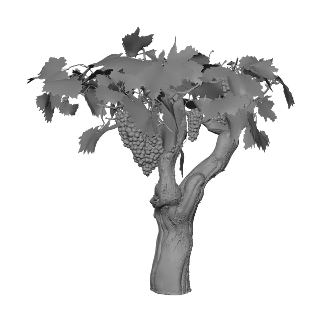 3D model for Gnarled Grape Vine at Sunset