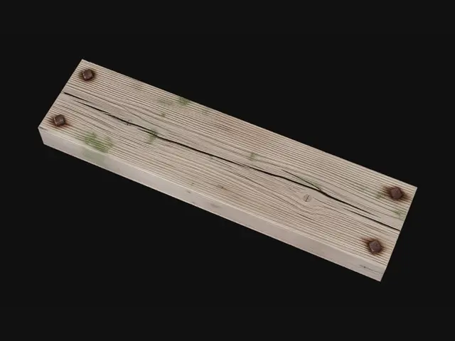 3D model for Weathered Wood Planks with Moss