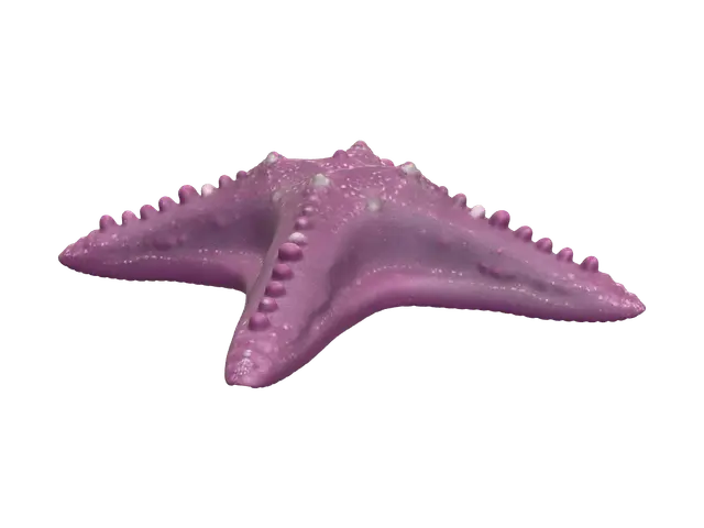 Weathered Seastar - Starfish 3D model, vytvořený pomocí AI