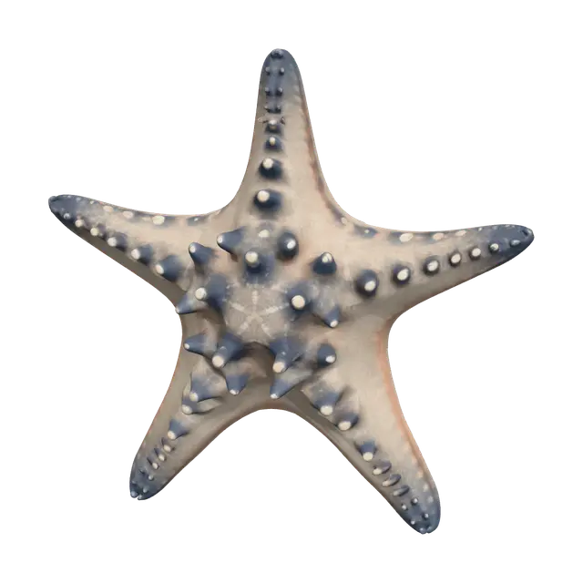 Seastar - Starfish 3D model, vytvořený pomocí AI