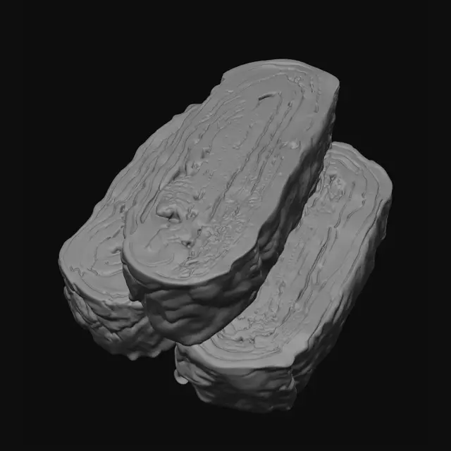 3D model for Tamagoyaki