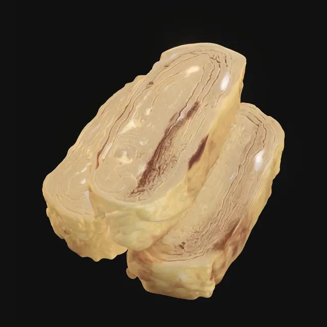 3D model for Tamagoyaki