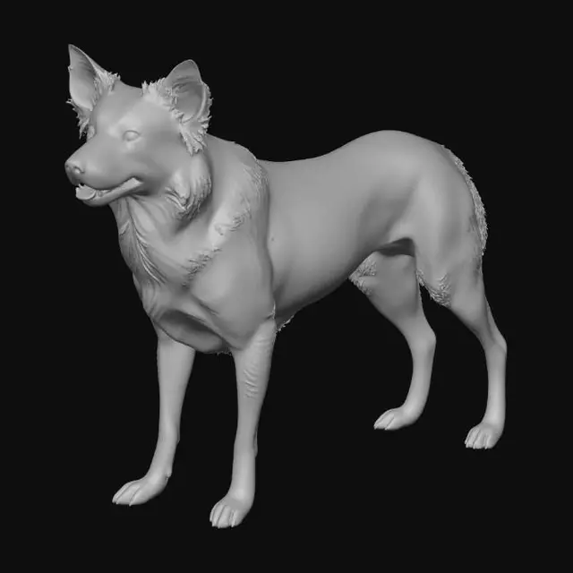 3D model for create a realistic symmetrical tri colour border collie. colours are black white and tan