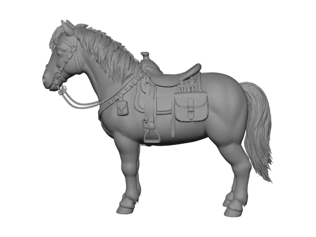 3D model for Appaloosa with Western Tack