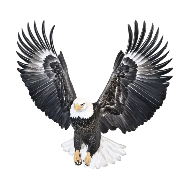 3D model for Wings of Majesty