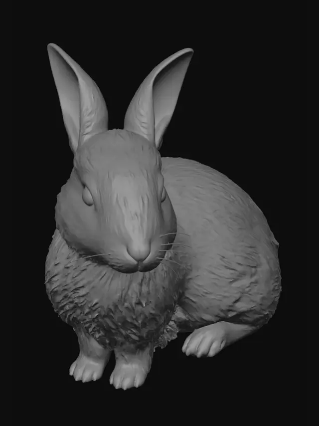 3D model for Gentle Bunny in Soft Light