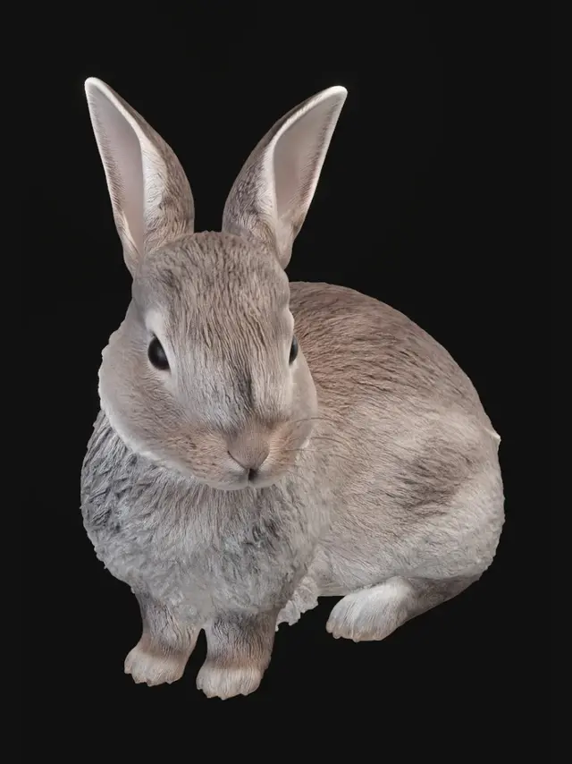 3D model for Gentle Bunny in Soft Light