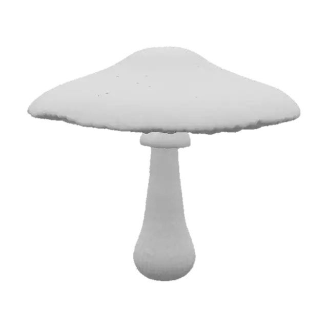 3D model for Крупный светящийся гриб, его шляпка широкая, зонтичная, с мягкой, почти студенистой текстурой. Шляпка полупрозрачная, с градиентом цвета от молочно-белого к бледно-желтому, излучает мягкое, пульсирующее свечение. Ножка гриба толстая, волокнистая, слегка шершавая на ощупь, с зеленоватым оттенком. На шляпке видны тонкие, ветвящиеся прожилки, мерцающие в темноте.