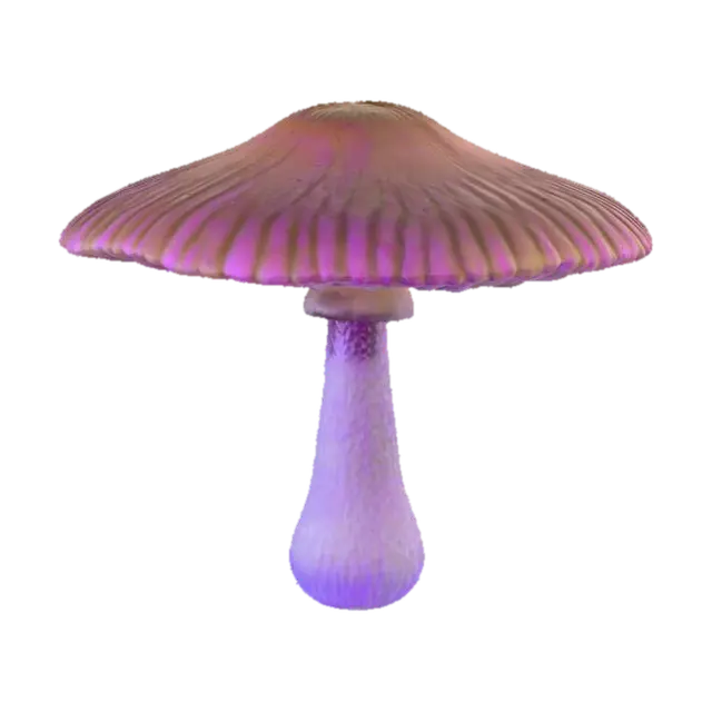 3D model for Крупный светящийся гриб, его шляпка широкая, зонтичная, с мягкой, почти студенистой текстурой. Шляпка полупрозрачная, с градиентом цвета от молочно-белого к бледно-желтому, излучает мягкое, пульсирующее свечение. Ножка гриба толстая, волокнистая, слегка шершавая на ощупь, с зеленоватым оттенком. На шляпке видны тонкие, ветвящиеся прожилки, мерцающие в темноте.
