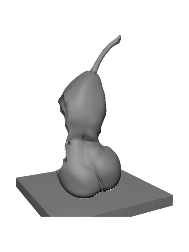 3D model for Layered Pear