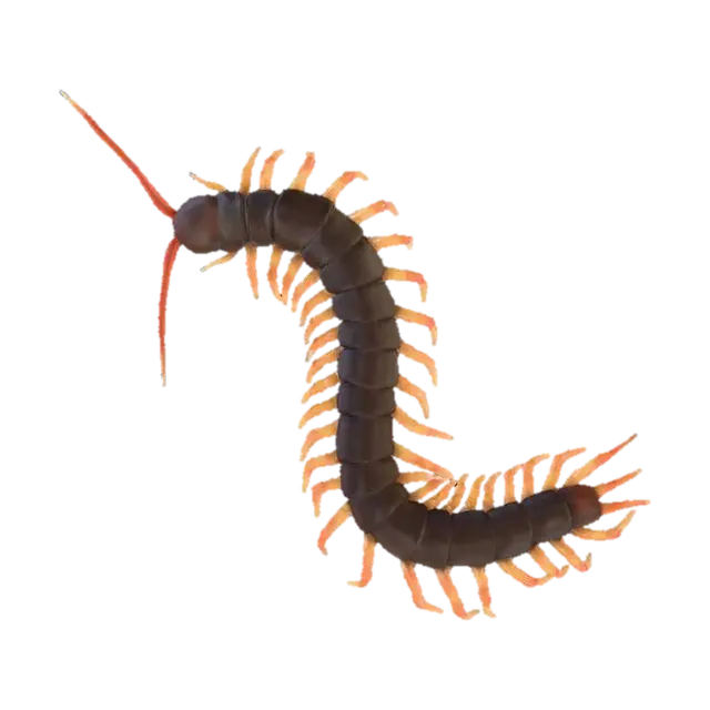 Curved centipede with orange legs 3D model, vytvořený pomocí AI