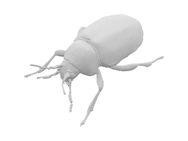 3D model for low poly beetle insect, hard shell, six legs, short antennae, 