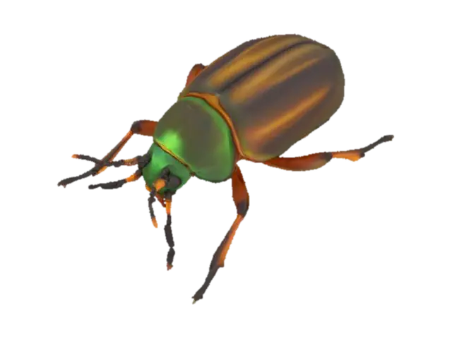 3D model for low poly beetle insect, hard shell, six legs, short antennae, 
